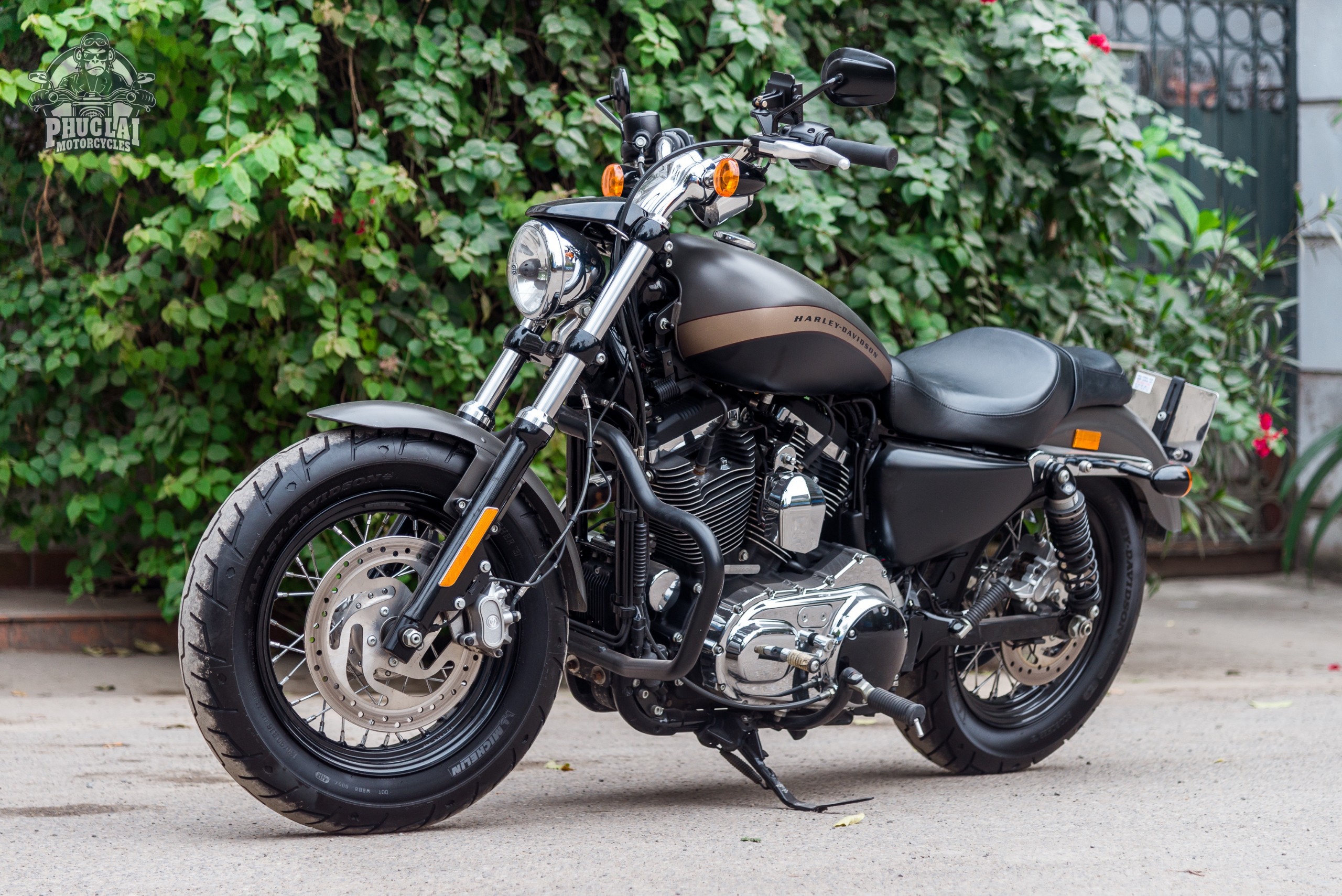 Harley Davidson XL1200